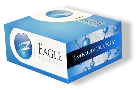 anti mouse igg elisa kit|mouse total igg elisa kit.